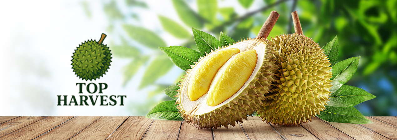 Top Harvest Store Banner FS 01