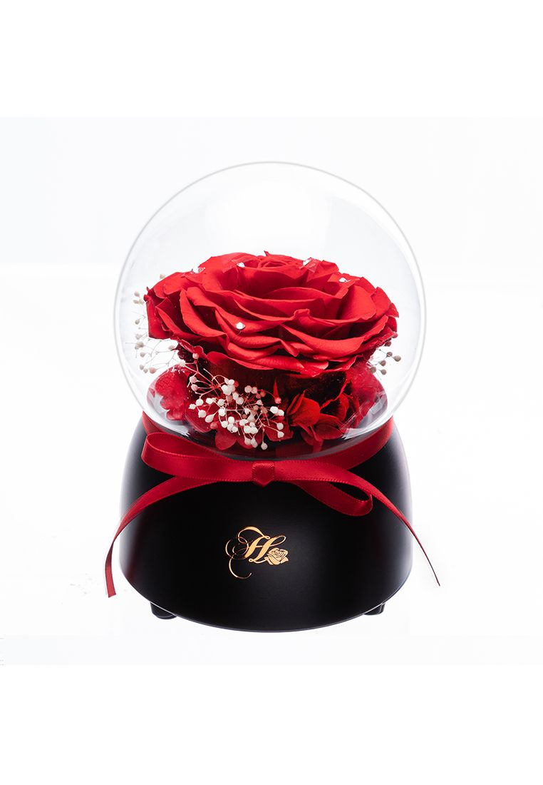 Her Rose Only Love Music Globe (Red Rose + Black)