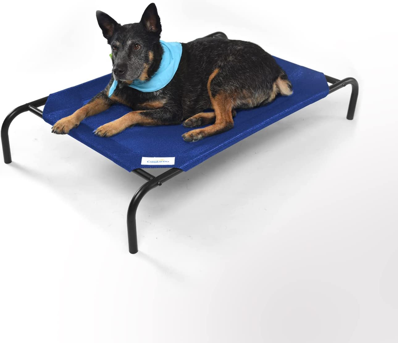 COOLAROO Elevated Pet Bed Medium 107 X 65 X 20 cm Aquatic Blue