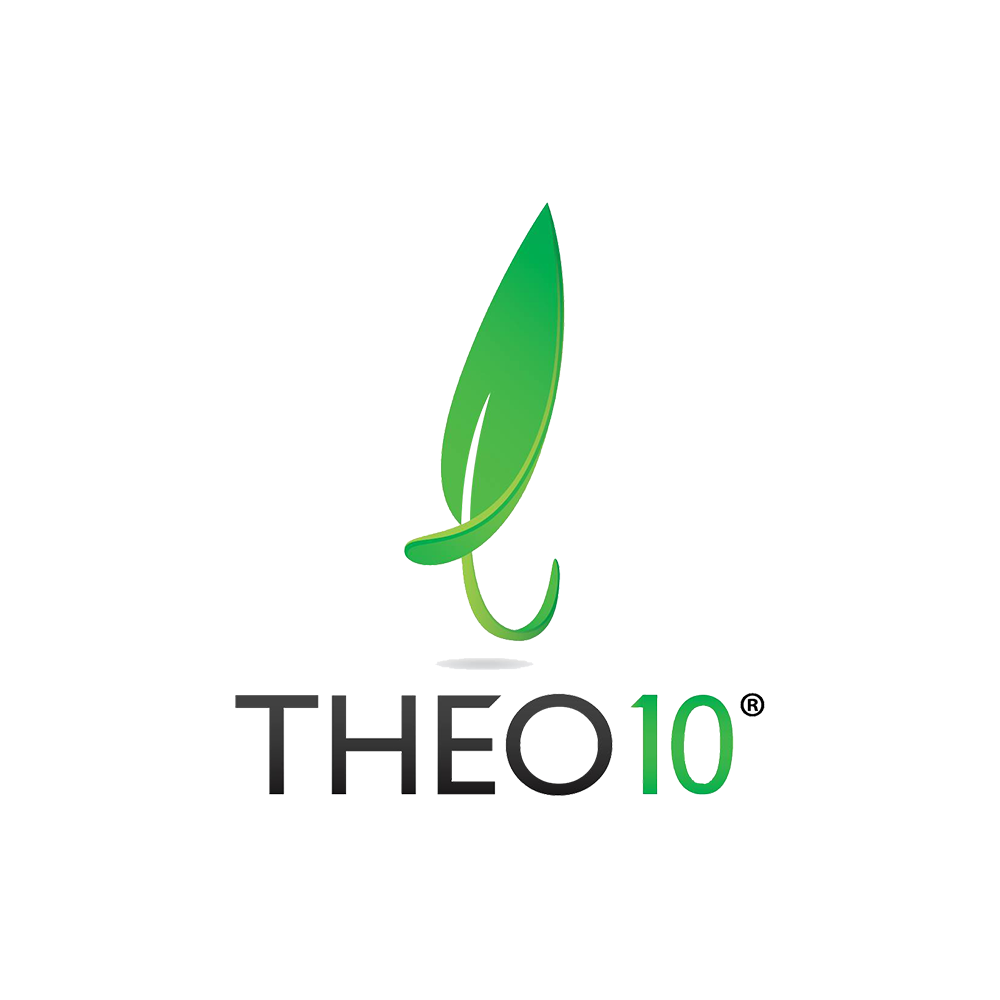 Theo10 Flagship Store